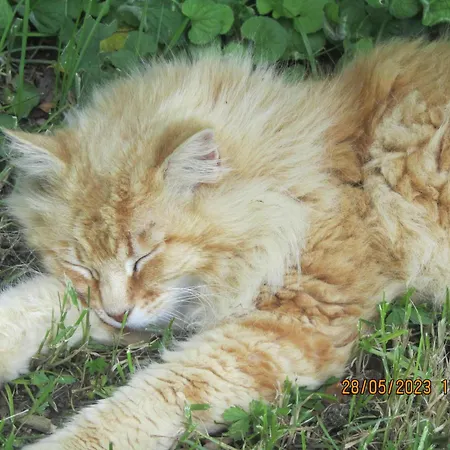 La Grange Aux Livres 3*